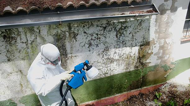 Top rated local Bathroom Mold Removal specialists in Seaford, VA